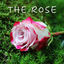 Cover The Rose (Acoustic Instrumental)