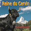 Cover Reine du Cervin