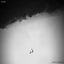 Cover Flying