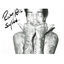 Cover SYLDD