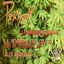 Cover La Mariacachafa 2 / La Venganza del Coleto