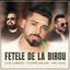 Cover Fetele de la Birou