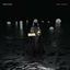 Cover I Won't Survive