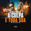 Cover A Culpa É Toda Sua