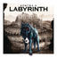 Cover Labyrinth