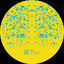 Cover Symmetry of Chaos