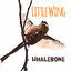 Cover Little Wing