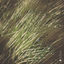 Cover Endless Breeze