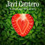 Cover Laberinto del Deseo