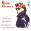 Cover All the Hits... Plus More - The Best of David Garrick