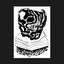 Cover Black Vulture