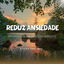 Cover Natureza Calma Com Som Ambiente - Reduz Ansiedade