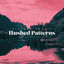 Cover Hushed Patterns