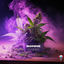 Cover Bonne WEED