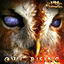 Cover Owl Rising