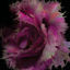 Cover COURTOISYD01