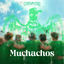 Cover Muchachos