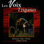 Cover Gipsy World Vol. 1: The Best Of Voices (Les Voix Tziganes)
