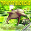 Cover Trance Emotions (Vol.3 Best Of Melodic Dance & Dream Techno)