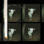 Cover Scary Goat EP