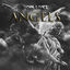 Cover Angels