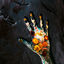 Cover Blackoak