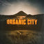 Cover Organic City