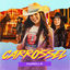 Cover Carrossel