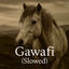 Cover Gawafi (Slowed)