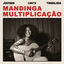 Cover Mandinga Multiplicação - Josyara canta Timbalada