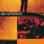 Cover Professional Dreamer