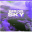 Cover Birds In The Sky (Tays & Charva Boys Remix)