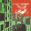 Cover Burnout