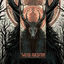 Cover Twisted Perception