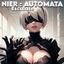 Cover Nier: Automata Opening