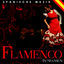 Cover Spanische Musik. Flamenco in Spanien
