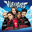 Cover Vleugels