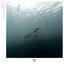 Cover Underwater