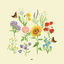 Cover we