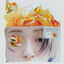 Cover Go