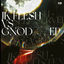 Cover Gnod vs. JK Flesh