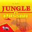 Cover Jungle is Massive, Vol. 4