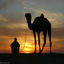 Cover Islamic Nasheed