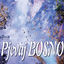 Cover Pjevaj Bosno