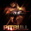 Cover Planet Pit (Deluxe Version)