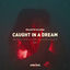 Cover Caught in a Dream