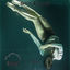 Cover Dive