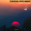 Cover Turning Into Night