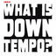 Cover What Is Downtempo?