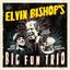 Cover Elvin Bishop's Big Fun Trio